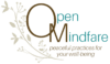 openmindfare.com